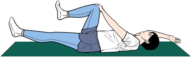 데드 버그 운동