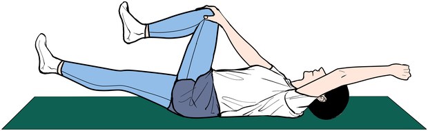 데드 버그 운동