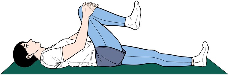 뒤넙다리근 스트레칭