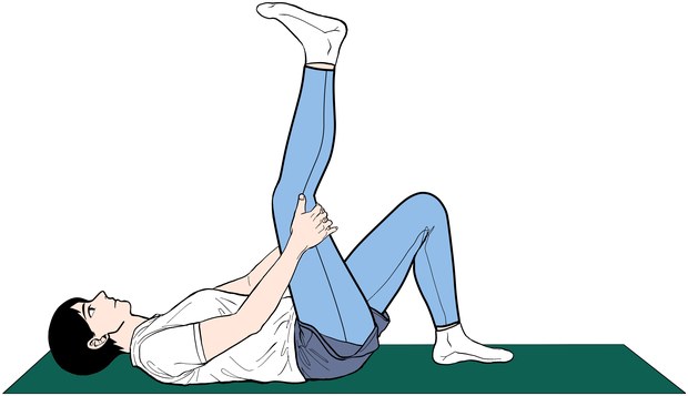 뒤넙다리근 스트레칭