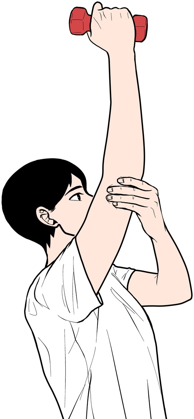삼두근 강화: 아령