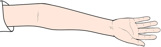 손목 · 팔꿈치 가동 운동