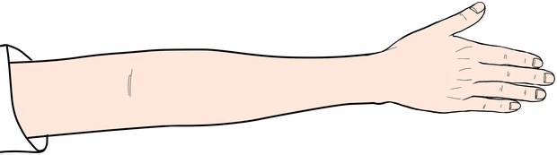 손목 · 팔꿈치 가동 운동
